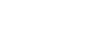 vizor logo