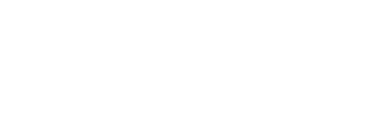 pallas logo