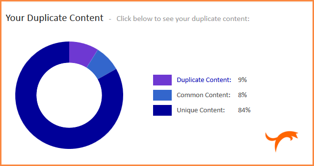 duplicate content on your website
