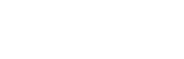 06vizor