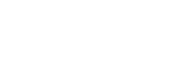 Dublin City Council Logo White test