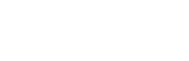 Norton Logo test