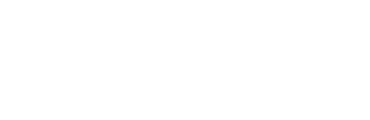 Statwolf Logo test